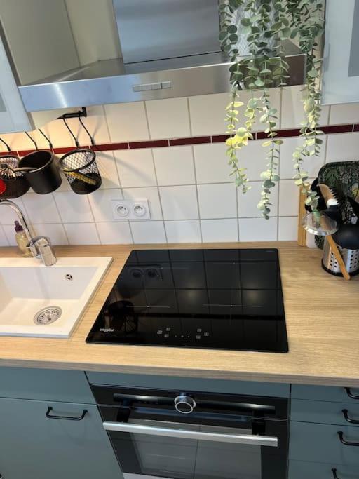 Adorable Appartement Strasbourg Neudorf Parking Sous Sol 외부 사진