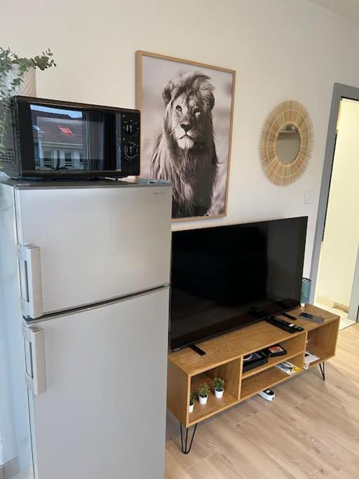 Adorable Appartement Strasbourg Neudorf Parking Sous Sol 외부 사진